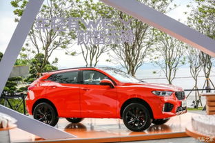 汽车国六油耗多少