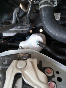 飞度汽车水箱加水多少