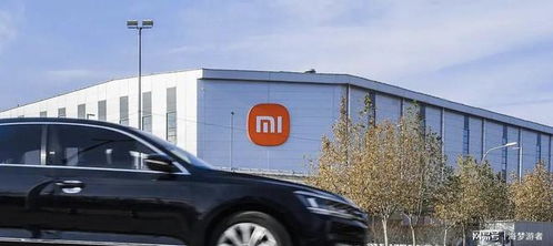 小米汽车头长多少