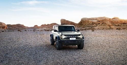 烈马多少钱汽车 烈马多少钱汽车