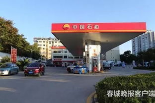 云南今日汽车油价多少