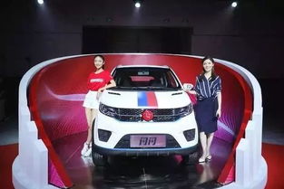 眉山红星汽车估价多少