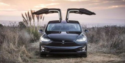 乐山特斯拉汽车估价多少 乐山特斯拉汽车估价多少