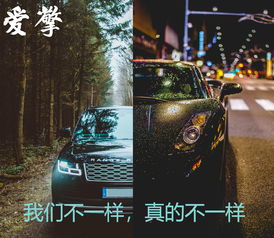 汽车燃油保持多少合适 汽车燃油保持多少合适