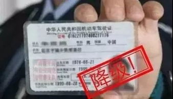 汽车换证周期为多少 汽车换证周期为多少