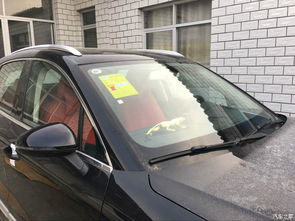 中泰汽车全国多少辆 中泰汽车全国多少辆