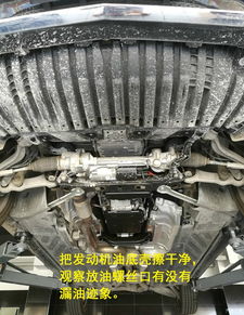 汽车加机油澡多少