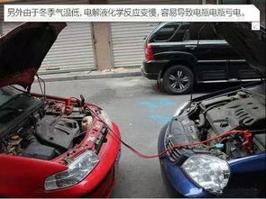 庆阳汽车油价是多少 庆阳汽车油价是多少