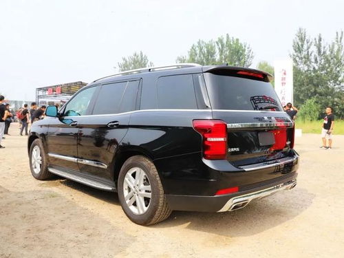 国产高端汽车售价多少