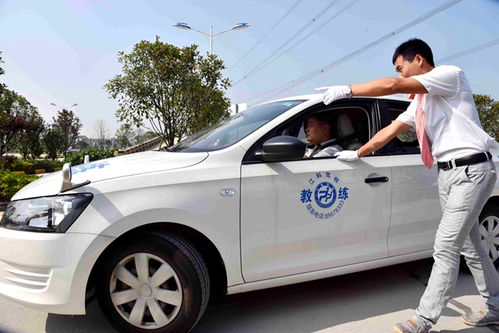 西藏汽车教练收入多少