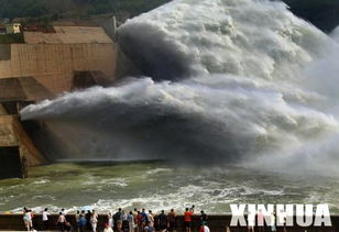 黄河小浪底汽车收费多少