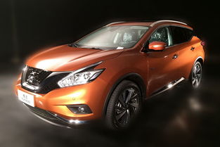 凉山日产汽车估价多少