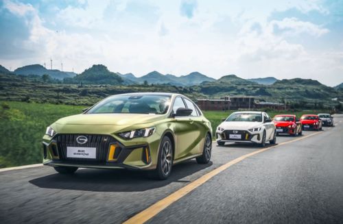 影豹汽车扭矩多少 影豹汽车扭矩多少