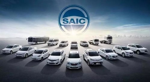 华城汽车利润多少亿