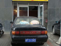 汽车假牌价格多少