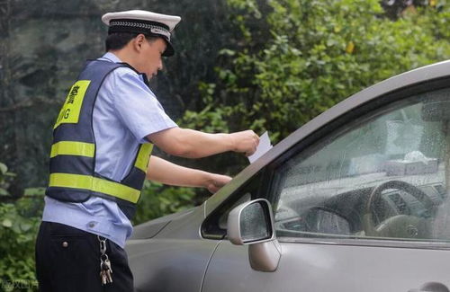 美国汽车违章罚多少