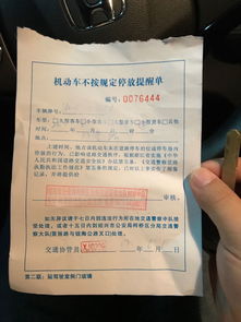 法国汽车罚款规定多少 法国汽车罚款规定多少