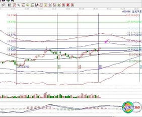 金龙汽车股票利润多少