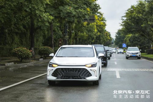 北京家庭拥有汽车多少