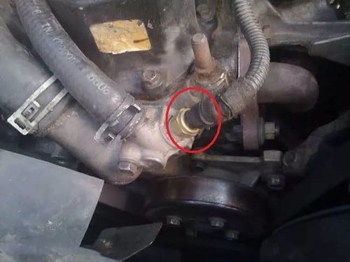 汽车高压油泵多少斤