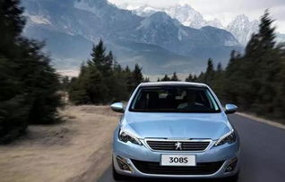 怎么判断汽车多少排量