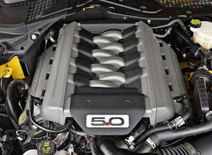 汽车排量5.0耗油多少