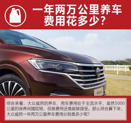 威然汽车油耗多少