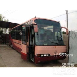 深州汽车多少钱