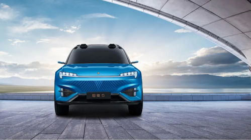 黄陂汽车投资价值多少