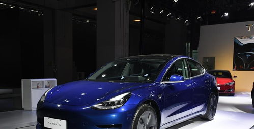 汕头拥有多少特斯拉汽车 汕头拥有多少特斯拉汽车