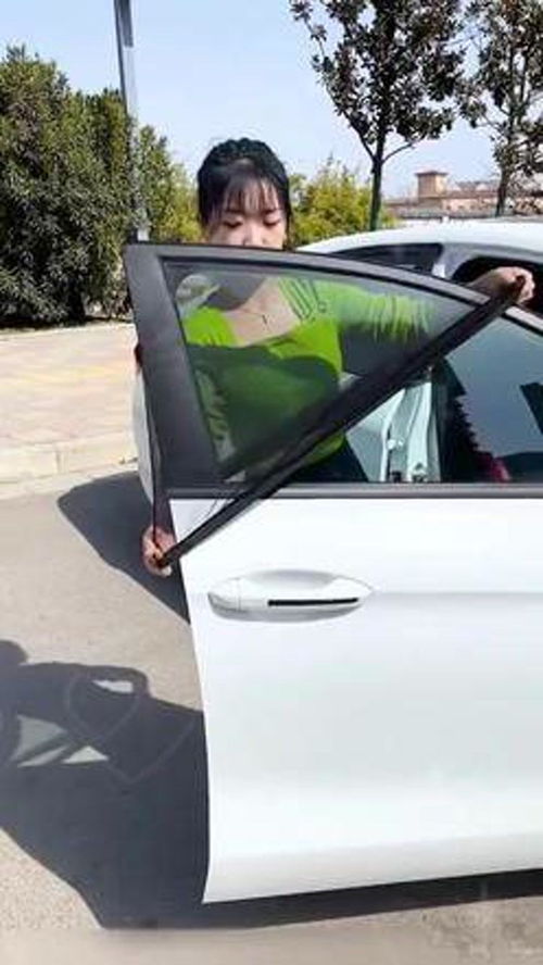 汽车露营纱窗价格多少