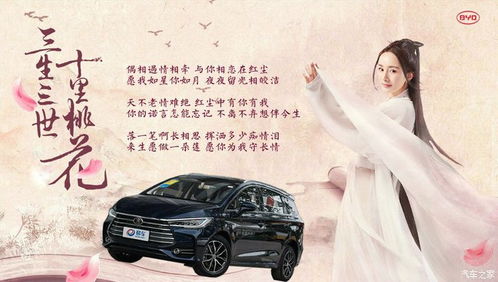 亮亮汽车油耗多少 亮亮汽车油耗多少