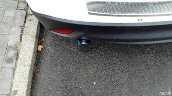 汽车羊角撑杆多少价位