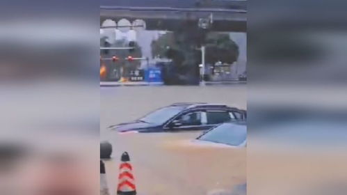 南方暴雨泡了多少汽车 南方暴雨泡了多少汽车
