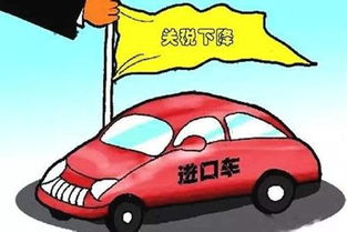 24万汽车关税多少