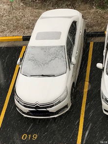 汽车下雪限速多少