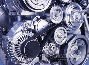 汽车里有多少皮带