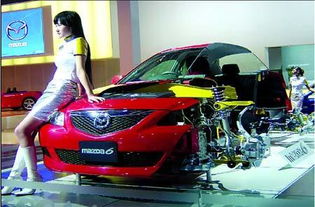 汽车油漆要多少升