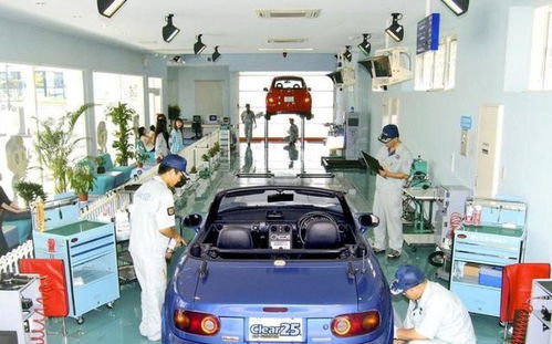 深汽车年审费用多少