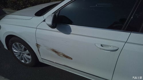 汽车发光油漆价格多少