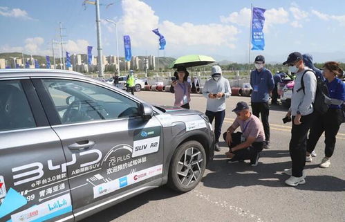 海豚汽车国外定价多少