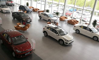 女生买汽车多少万 女生买汽车多少万