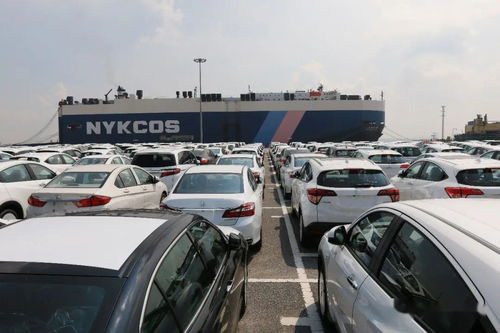 南沙汽车有多少台