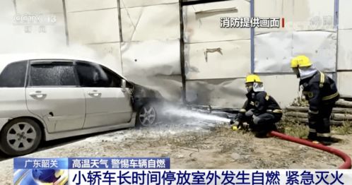 韶关小汽车有多少