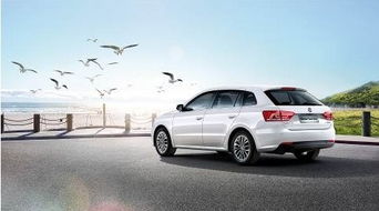 汽车星辉银漆多少