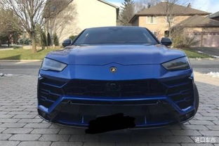 野牛汽车多少钱