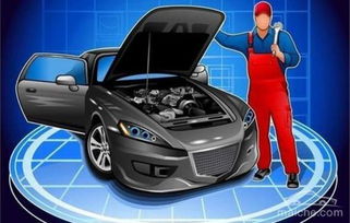 小汽车有多少号