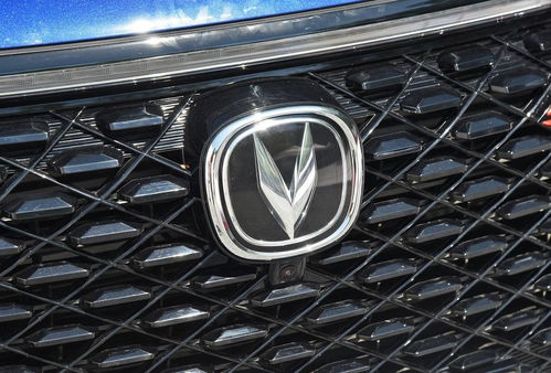 领跑汽车年收益多少