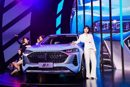 长城摩卡汽车定价多少