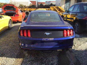 暗黑野马汽车多少元